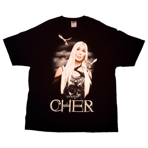 【2XL】シェール 2003  Farewell Tour ヴィンテージTシャツ