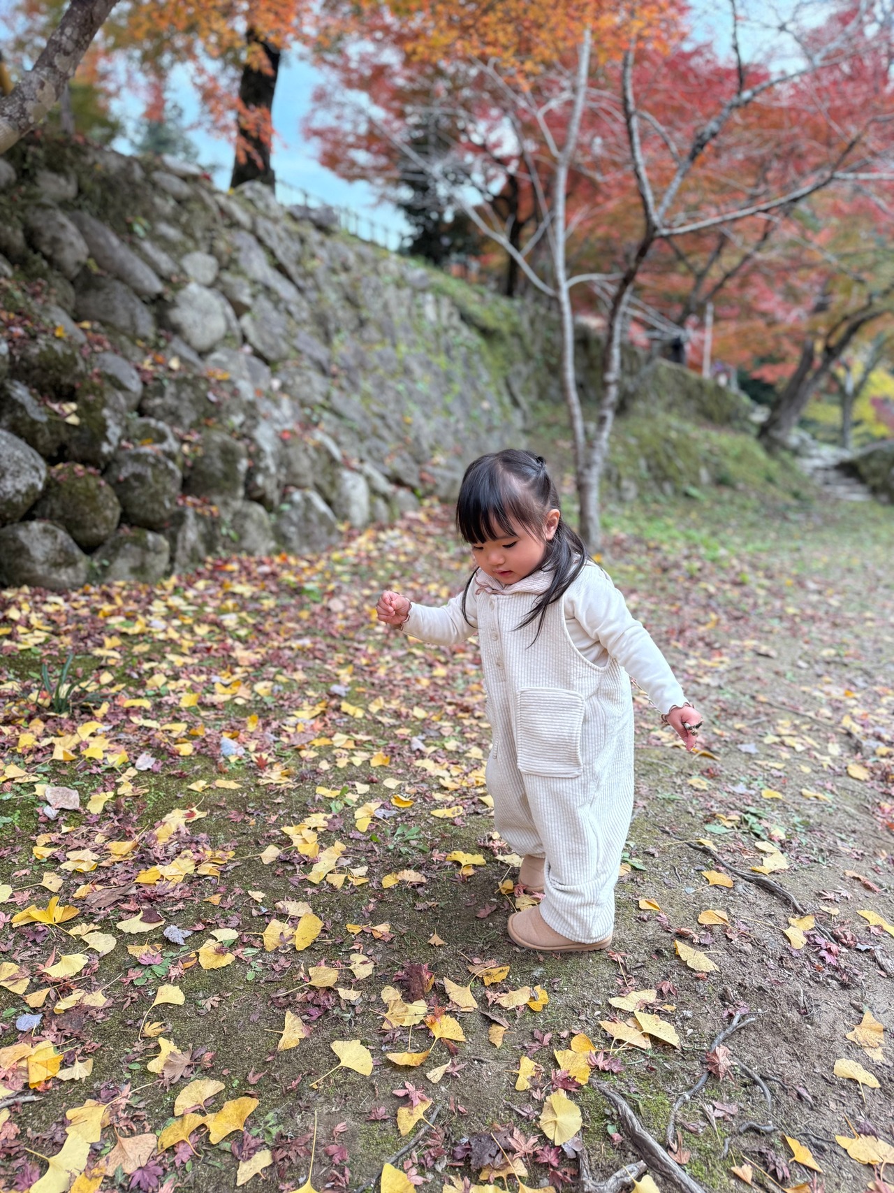 即納♡ 80-100 Pocky Overall  / anggo - 12