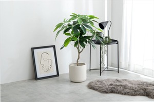 【高さ90cm】Nature 光触媒人工観葉植物 パキラ