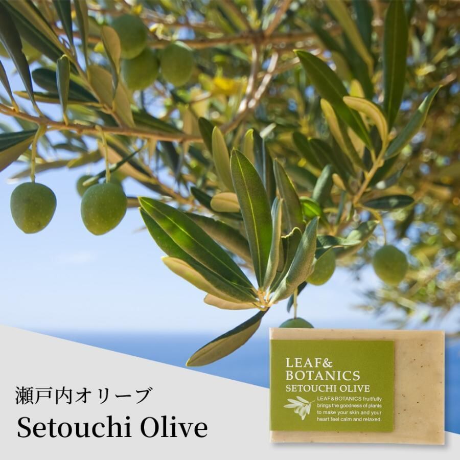 LEAF&BOTANICS | 雑貨屋 hocoro ホコロ