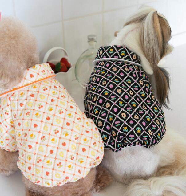 《予約》№1101850 あったかフルーツコート