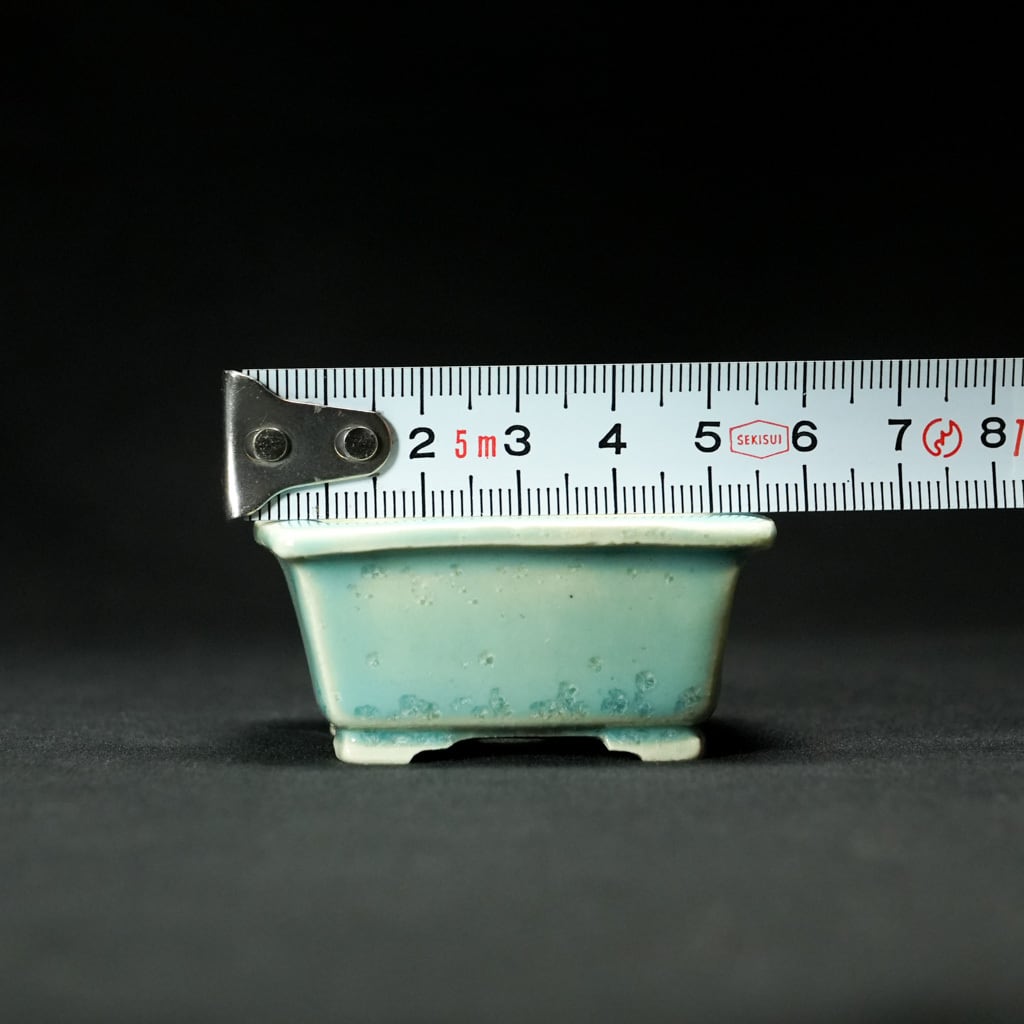 志水鉢 正方【盆栽Q5周年記念】 | bonsaiQ store