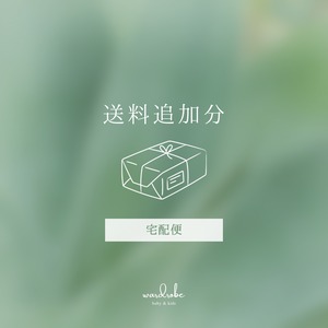 【追加分送料】宅配便
