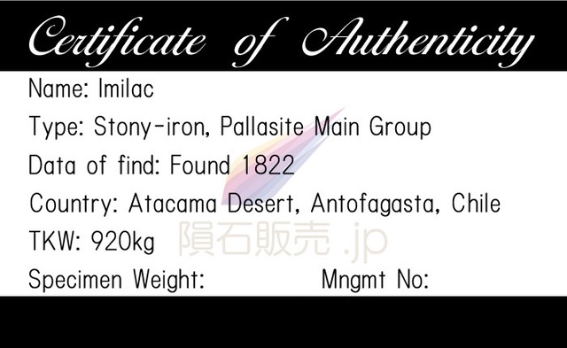 イミラック 隕石 2.0g パラサイト ネックレス ペンダント トップ メテオライト SV925 P2602