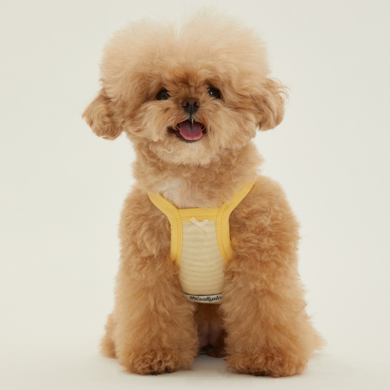 【予約】[ thesallyslaw ] Roony bear top｜Sunny Yellow - 3