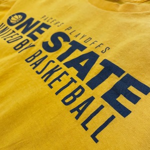 【DELTA PRO WEIGHT】NBA  INDIANA PACERS ペイサーズ バスケ プリント Tシャツ 企業ロゴ X-Large ビッグサイズ us古着