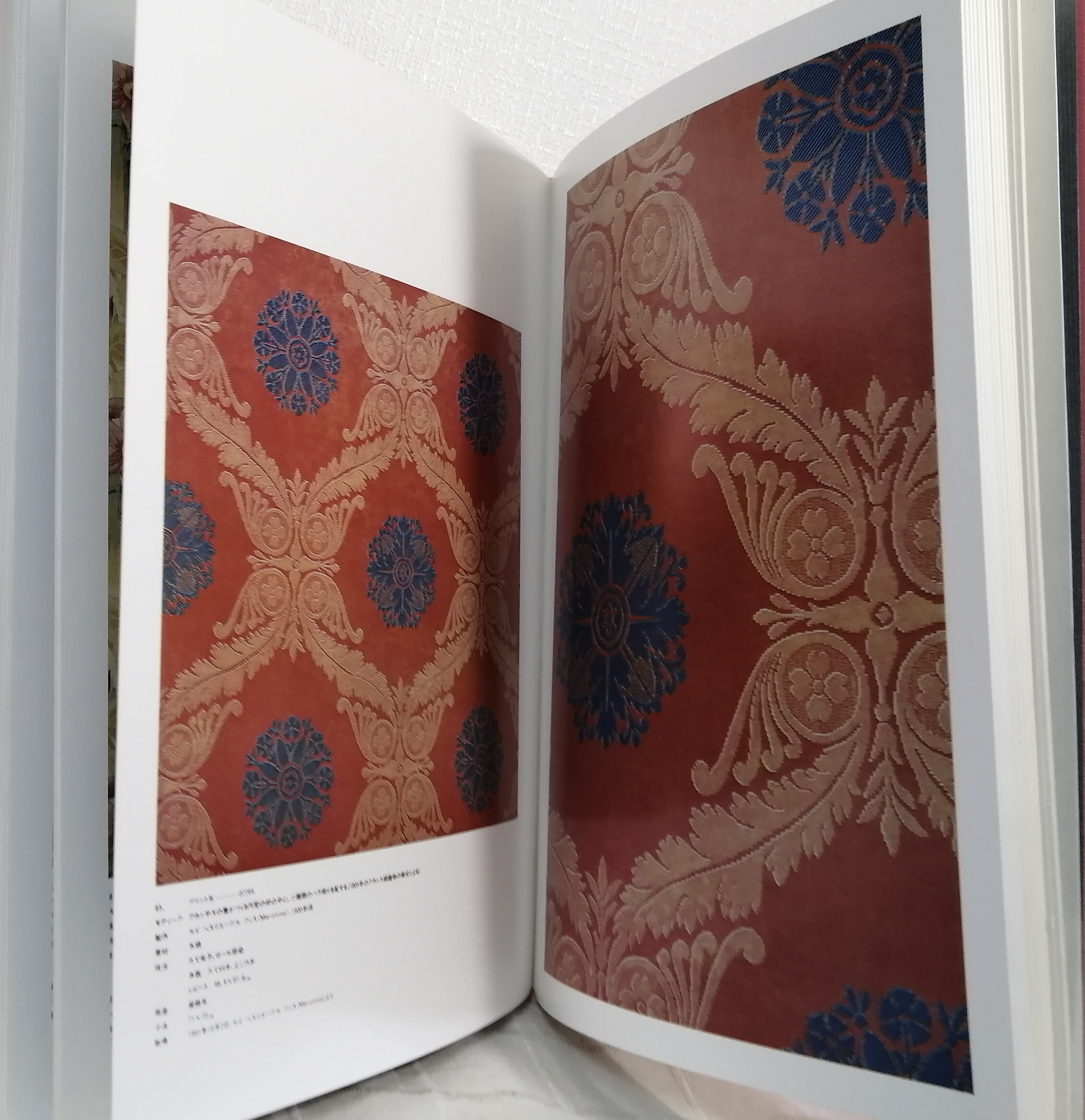 アールヌーヴォーの染織 TEXTILE DESIGNS OF ART NOUVEAU 駸々堂