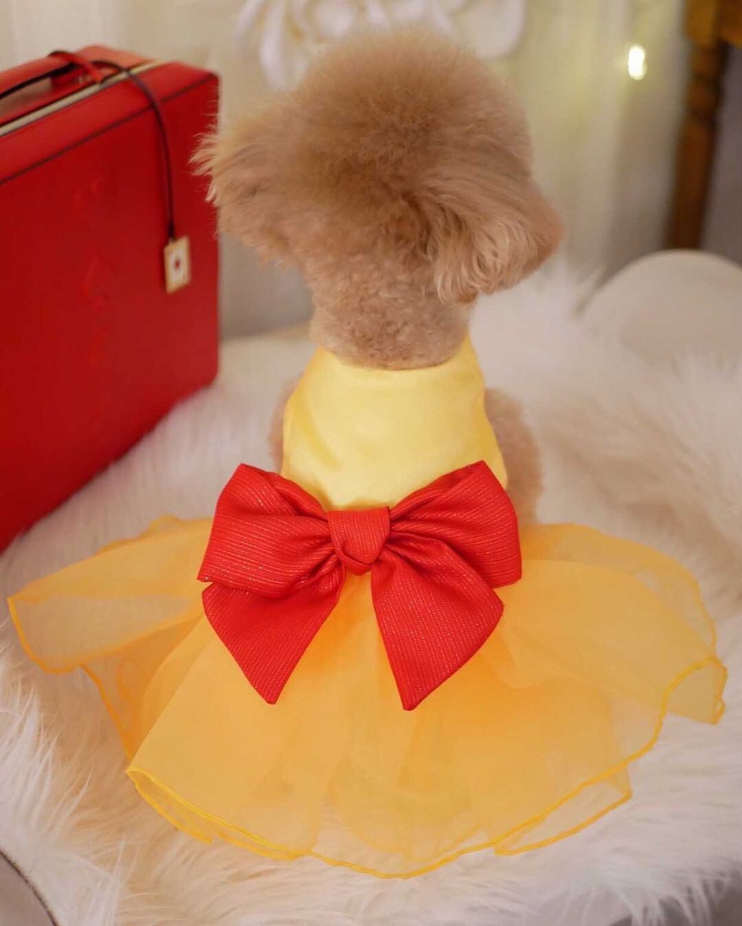 赤と黄色のふんわりスカートドレス Kiki Made By Rachel 赤と黄色のふんわりスカートドレス Kiki Made By Rachel