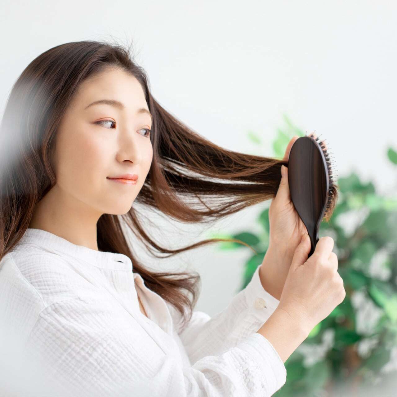 ラベンダー浸出油 お徳用】ソフィアトリートメントオイル ※1ヶ月定期便