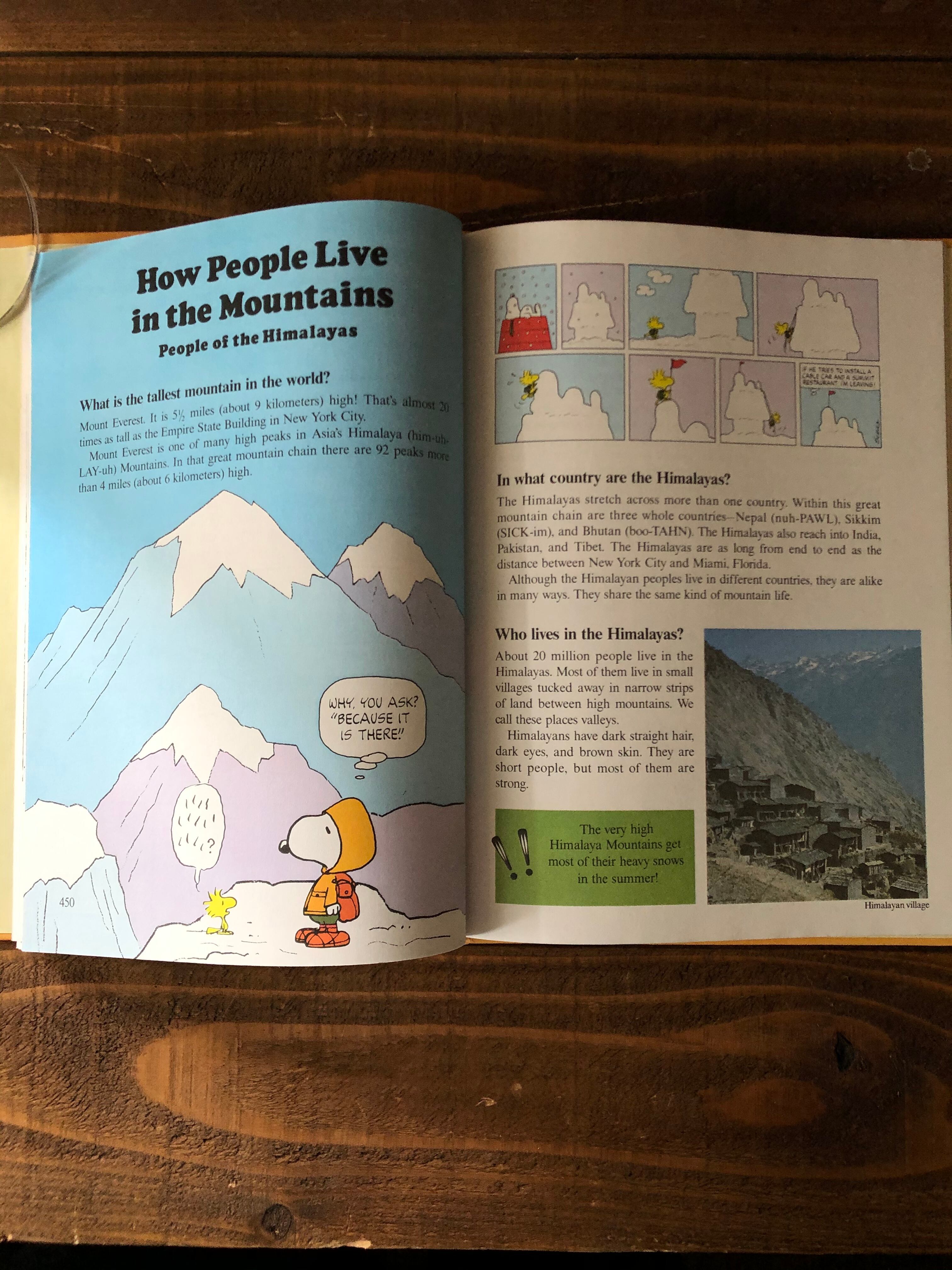 VINTAGE SNOOPY BOOK/チャーリーブラウン スヌーピー 百科事典 絵本