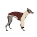 BONDIR Ancora Corduroy Sweater For Sighthound L/XL
