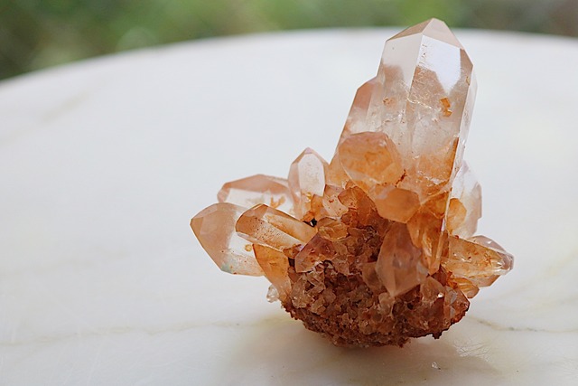 積極的に行動する力