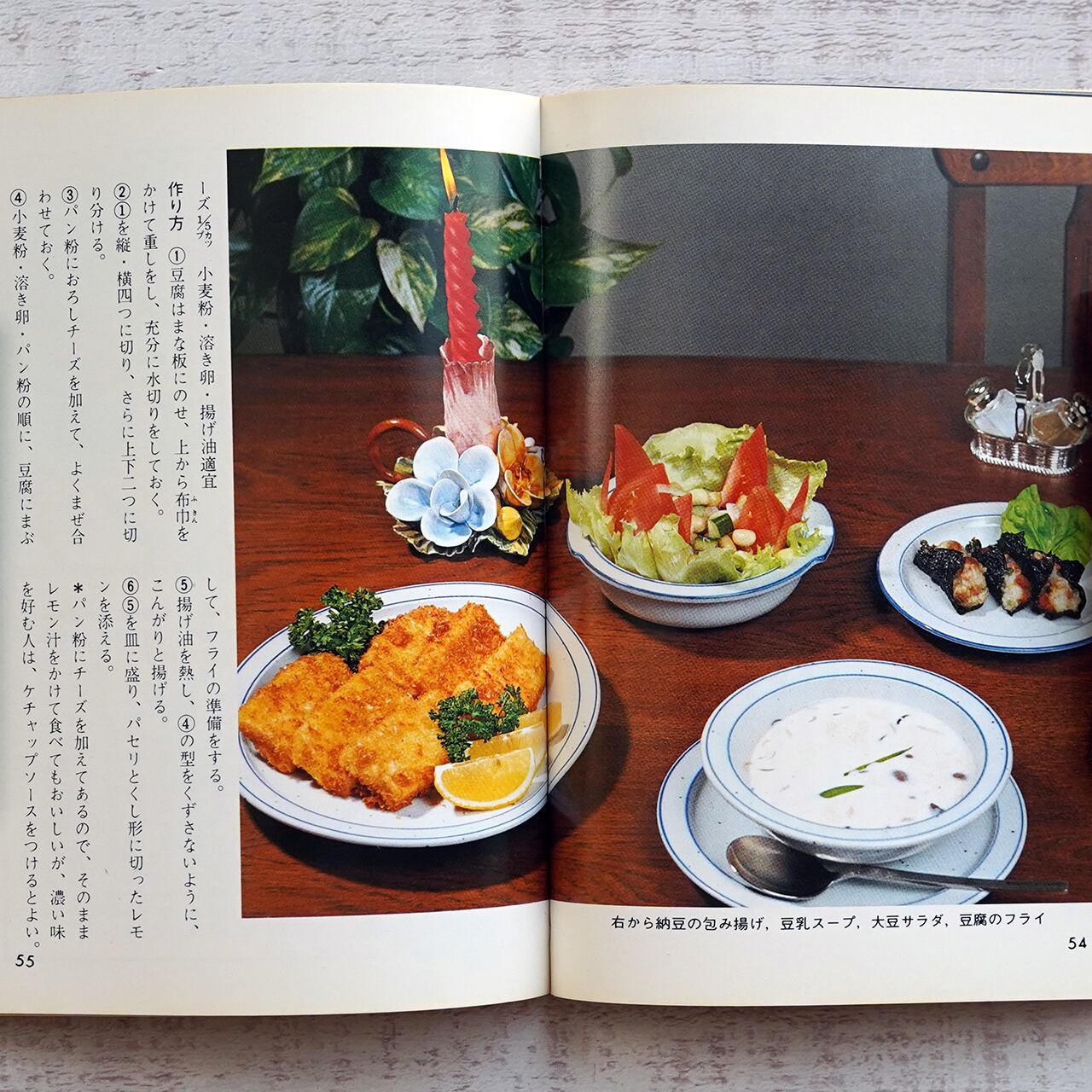 健康食入門 (カラーブックス527) 松本紘斉 | タイムカプセル