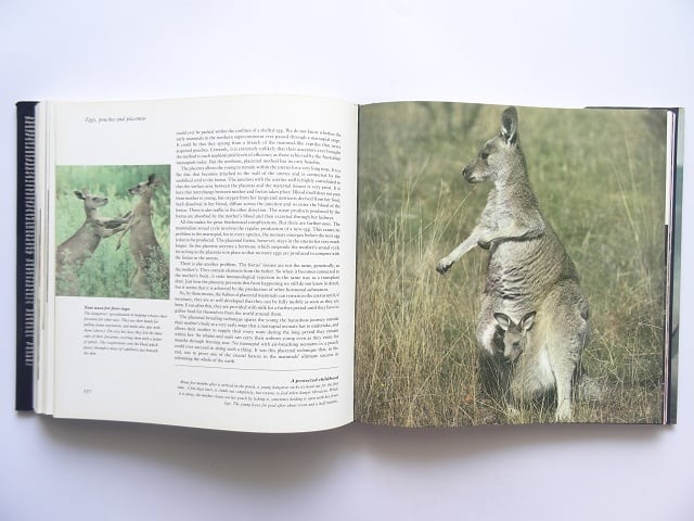 洋書◇地球上の生命写真集 本 BBC | 洋書堂