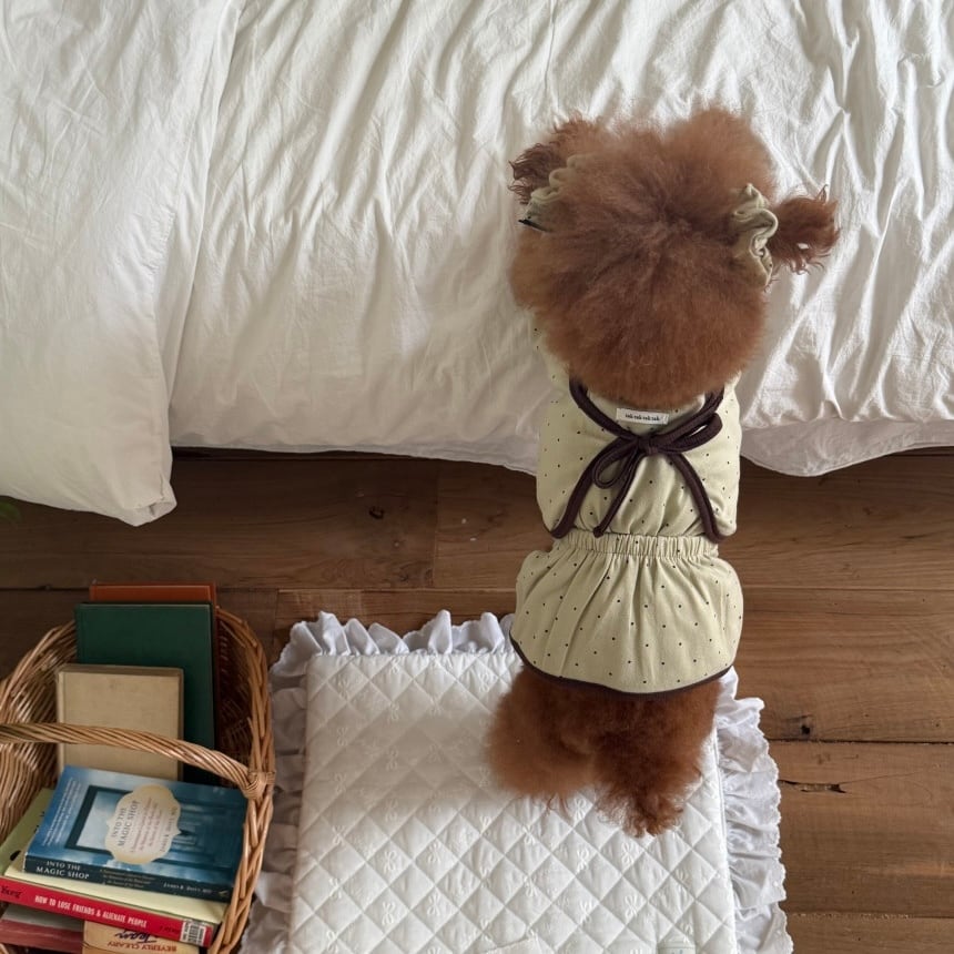 DOG WEAR | LUANA DOG