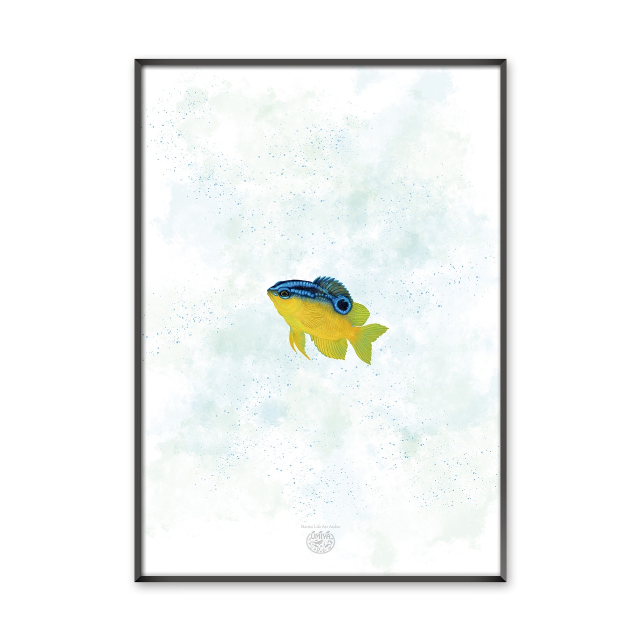 【海のいきものアートポスター／魚】ブルースポットダムゼル