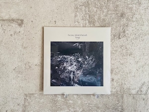 【CD】揺らぎ / For you, Adroit it but soft【リイシュー版】