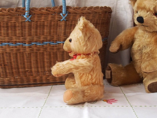 オーストリアアンティーク　テディベア　Fechter