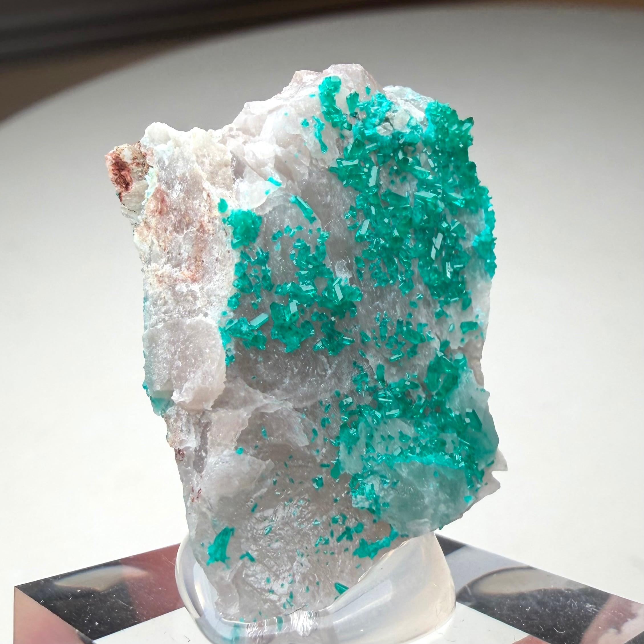 ダイオプテーズ / カルサイト【Dioptase on Calcite】ナミビア産