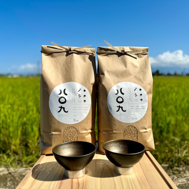 【釋永岳 × パークマンサー コラボ茶碗 2個】玄米5kg × 2 富山県産コシヒカリ