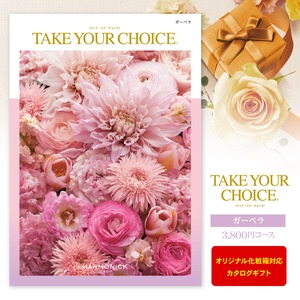 カタログギフト「TAKE YOUR CHOICE」＜3,800円コース＞ ※ゆうパケット便送料無料  内祝い お返し 出産内祝い 出産祝い 出産祝  結婚祝い 結婚内祝い 新築内祝い 入学祝 入学内祝い 快気祝い 引越し ギフト 名入れ 写真入り グルメ ギフトセット 入園内祝 初節句