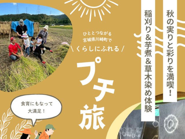 宮城県川崎町で、ひととつながる、くらしにふれるプチ旅（秋の実りと彩りを満喫！草木染め＆芋煮＆稲刈り体験）《2026年 9月27日（日）開催》