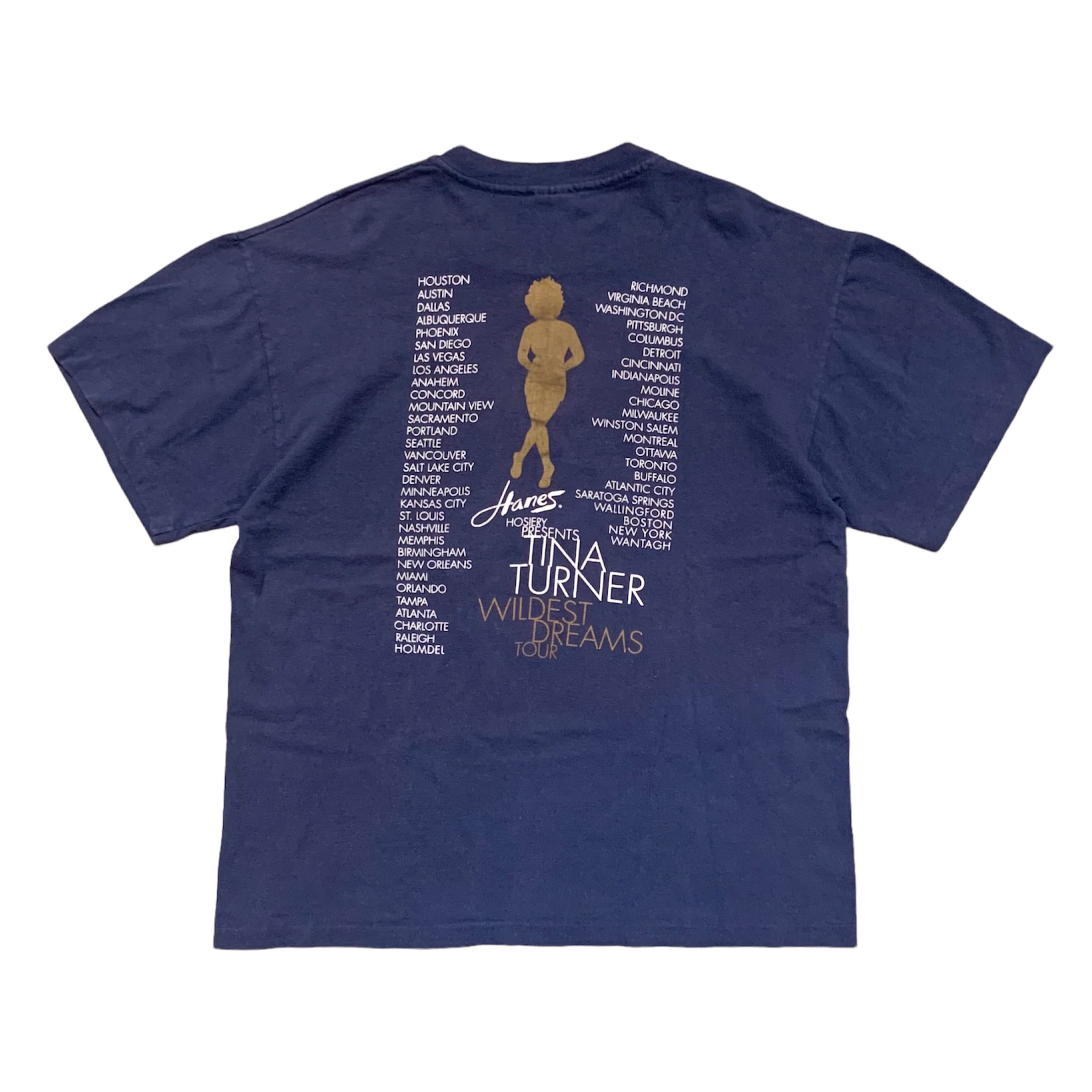 90s ヴィンテージ ティナターナー Tシャツ Wildest Dreams