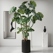 モンステラ240㎝［人工観葉植物・フェイクグリーンT］