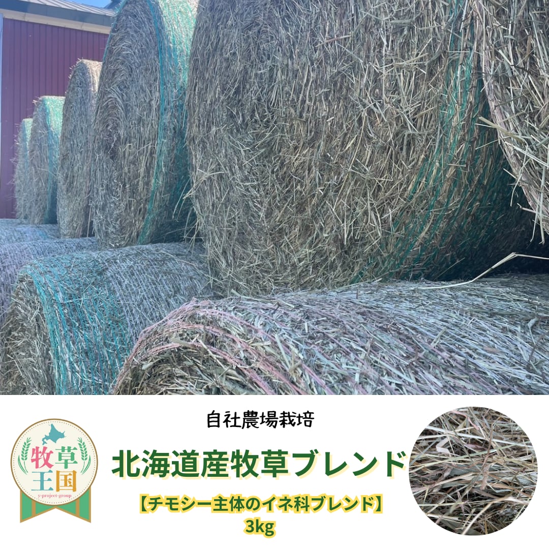 牧草王国 北海道産牧草ブレンド 自社農場栽培 3kg