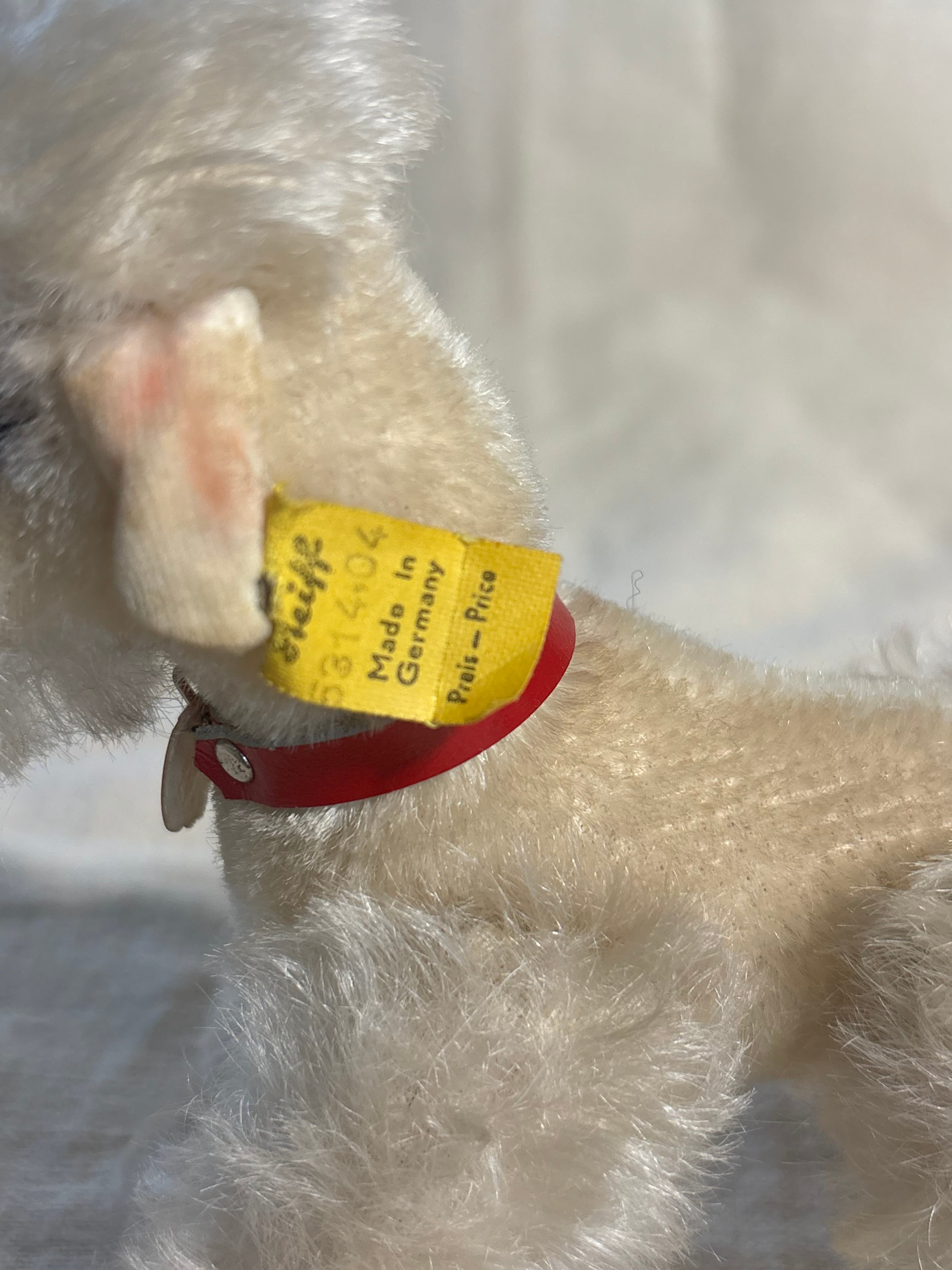やさしい表情のプードル | Steiff Poodle Snobby 14cm White all ID