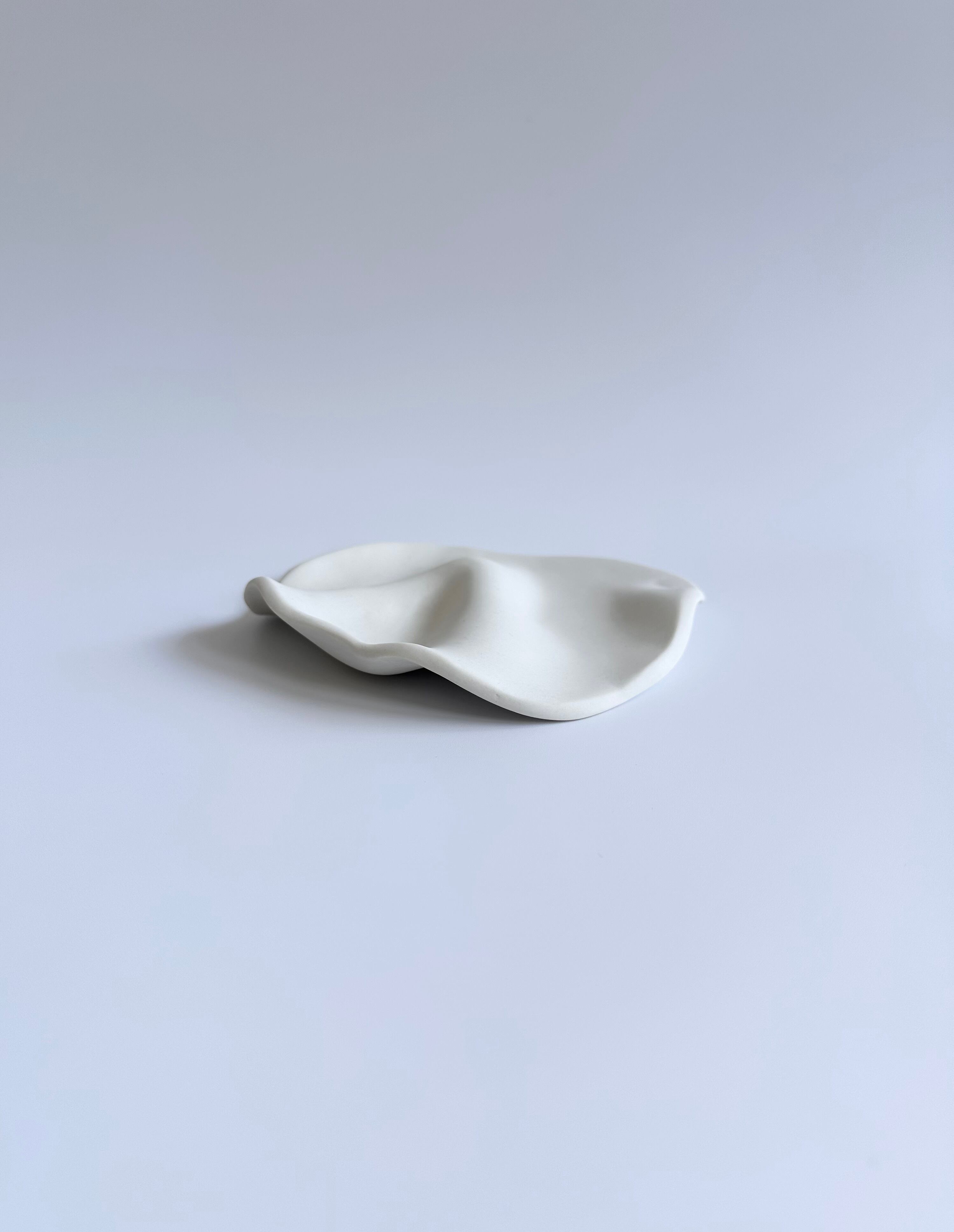【10col ceramics】WAVE objet tray S4
