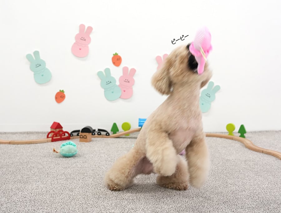 rabbit toy / ペット 犬 おもちゃ 噛む 音が鳴る 知育玩具 鳴き笛入り 可愛い わんちゃん おもちゃ ストレス解消 韓国 ペット用品 toy17
