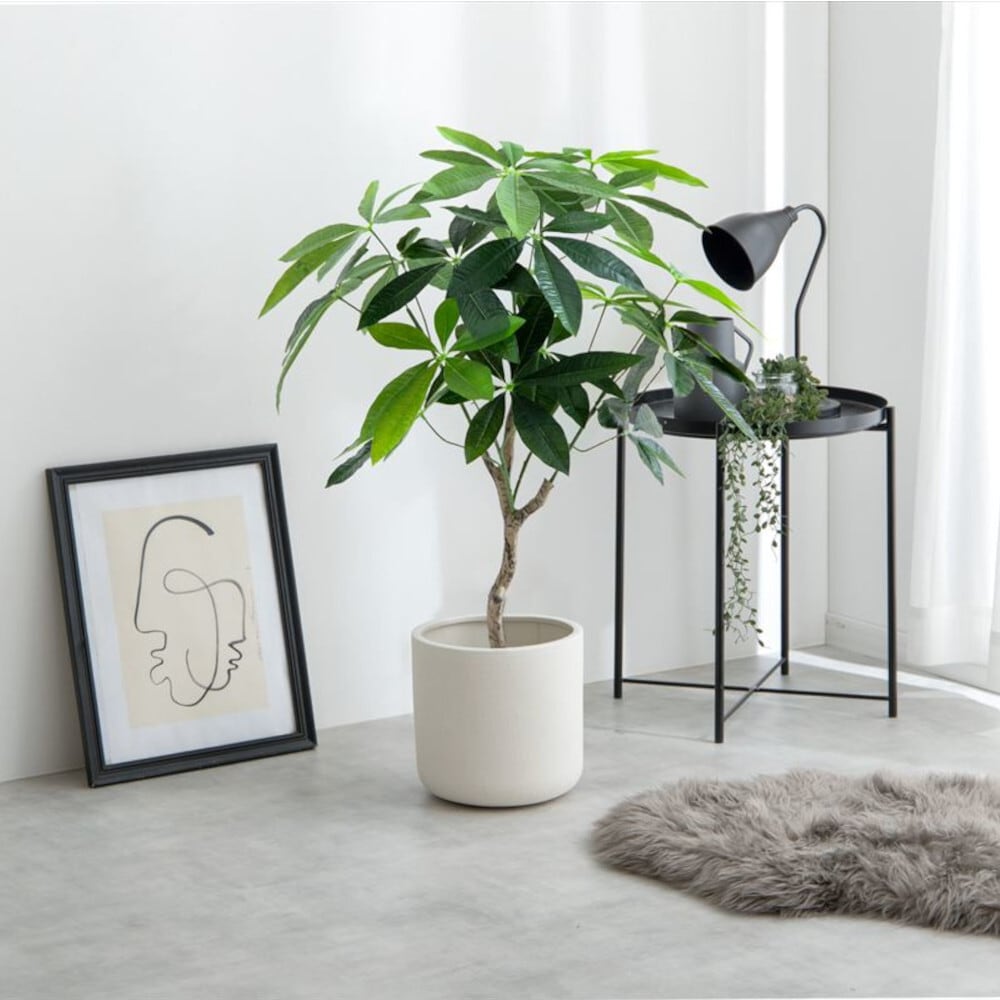 観葉植物 パキラ フェイクグリーン 光触媒人工観葉植物 高さ90cm | FIGARO