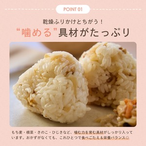 【動画とセット】ごはんの素〈おためし〉セット
