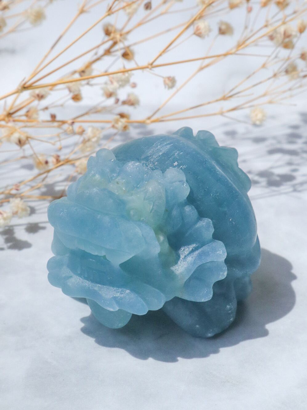 Blue Onyx✴龍亀(ロングイ) | ☆Rami di Luce☆