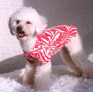 【nalu select】Classic Aloha shirt (3color)