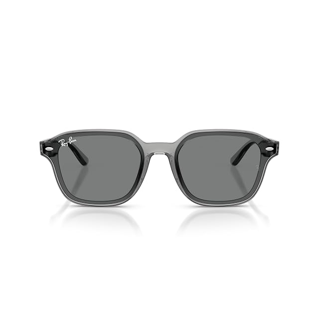 guepard / gp-02 / gris - Light Green Flat lenses クリアグレー