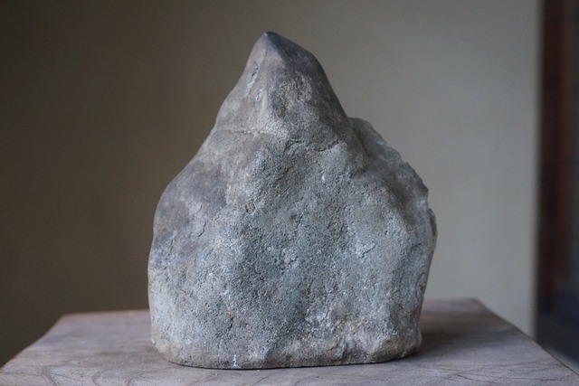 ウニ　化石　Astriclypeus mannii