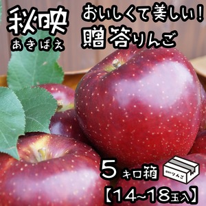 おいしいりんご秋映 贈答５キロ（14〜18玉）