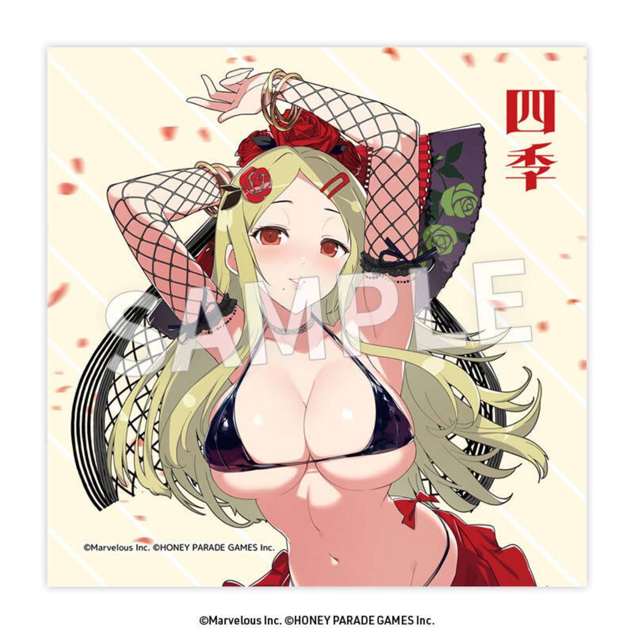 閃乱カグラ	クリーナークロス - 4