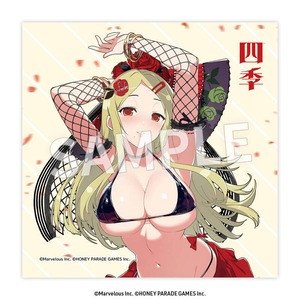 閃乱カグラ	クリーナークロス