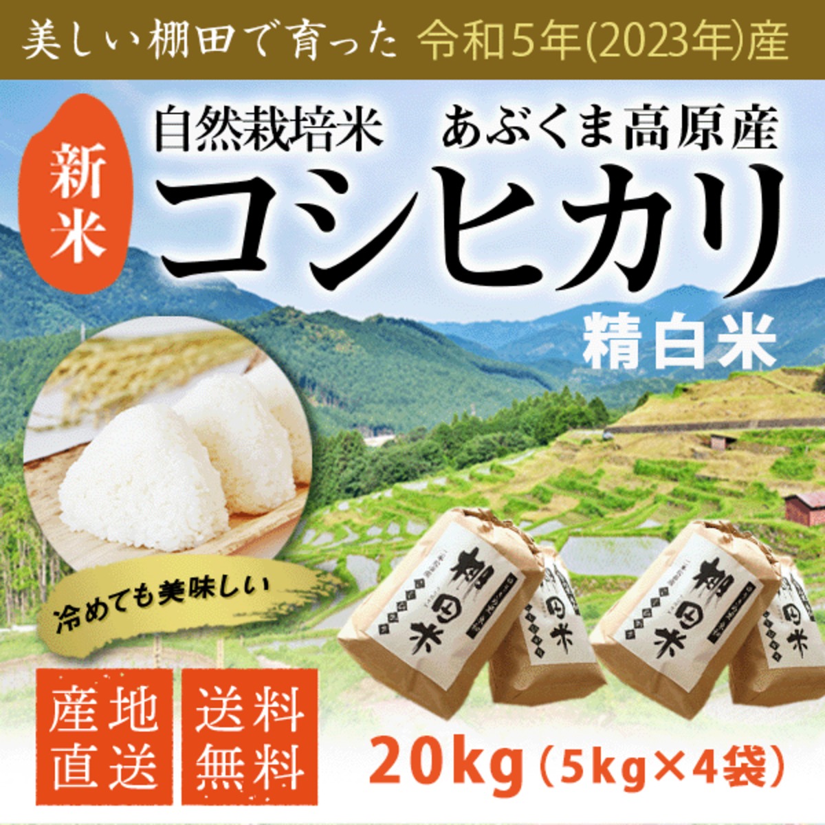 栃木県産農家直送新米コシヒカリ20キロ食品/飲料/酒 - 米/穀物