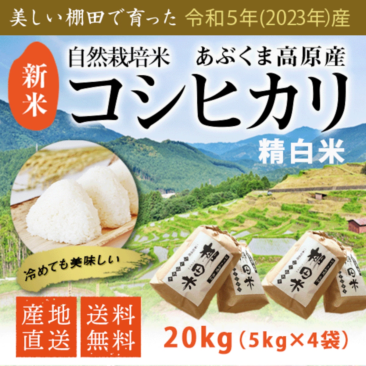 令和5年産棚田で育った特Aさがびより10キロ - 米・雑穀・粉類