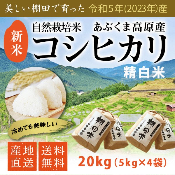 栃木県産農家直送新米コシヒカリ20キロ-