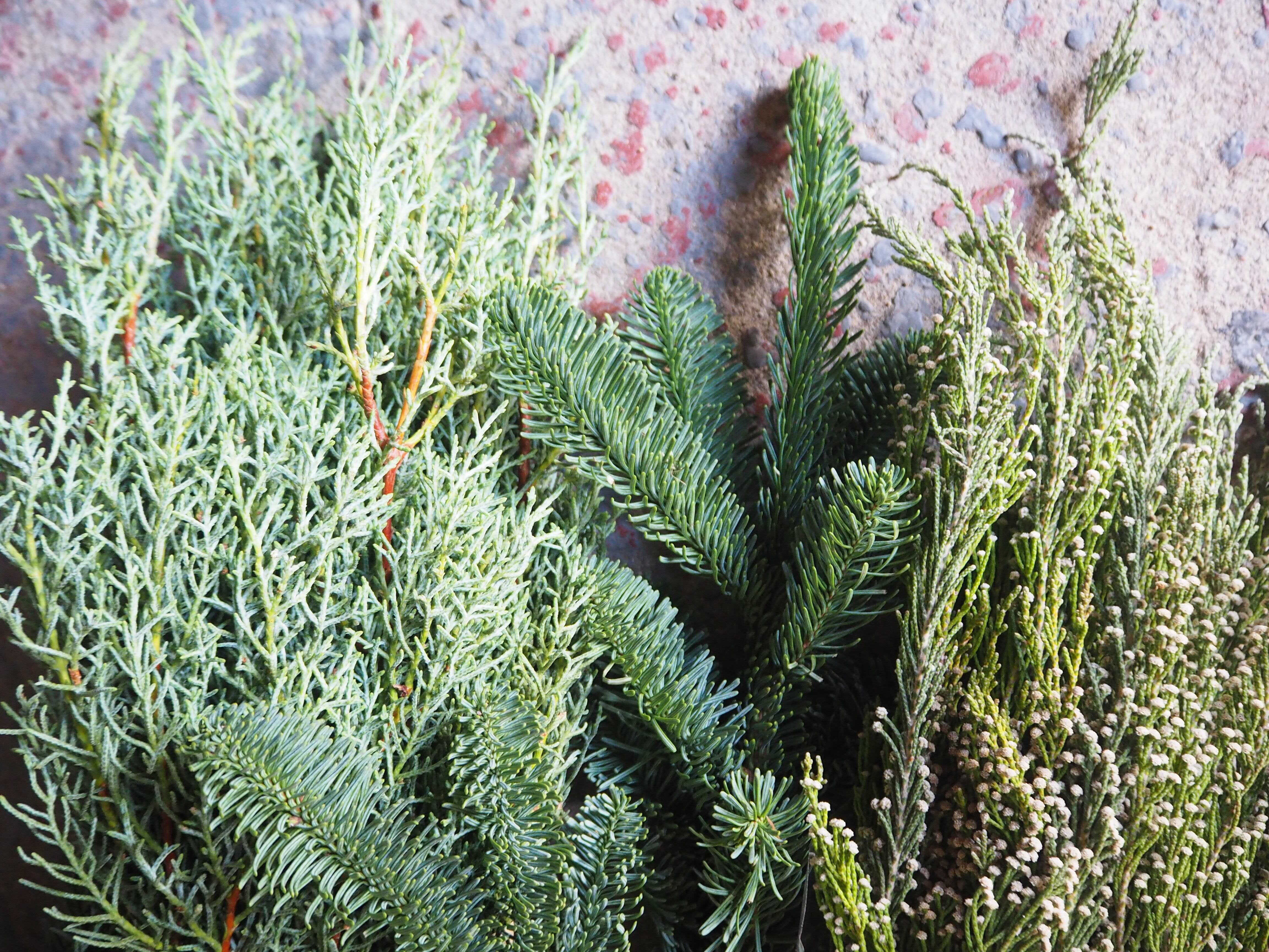 自分で作ろう!クリスマススワッグ