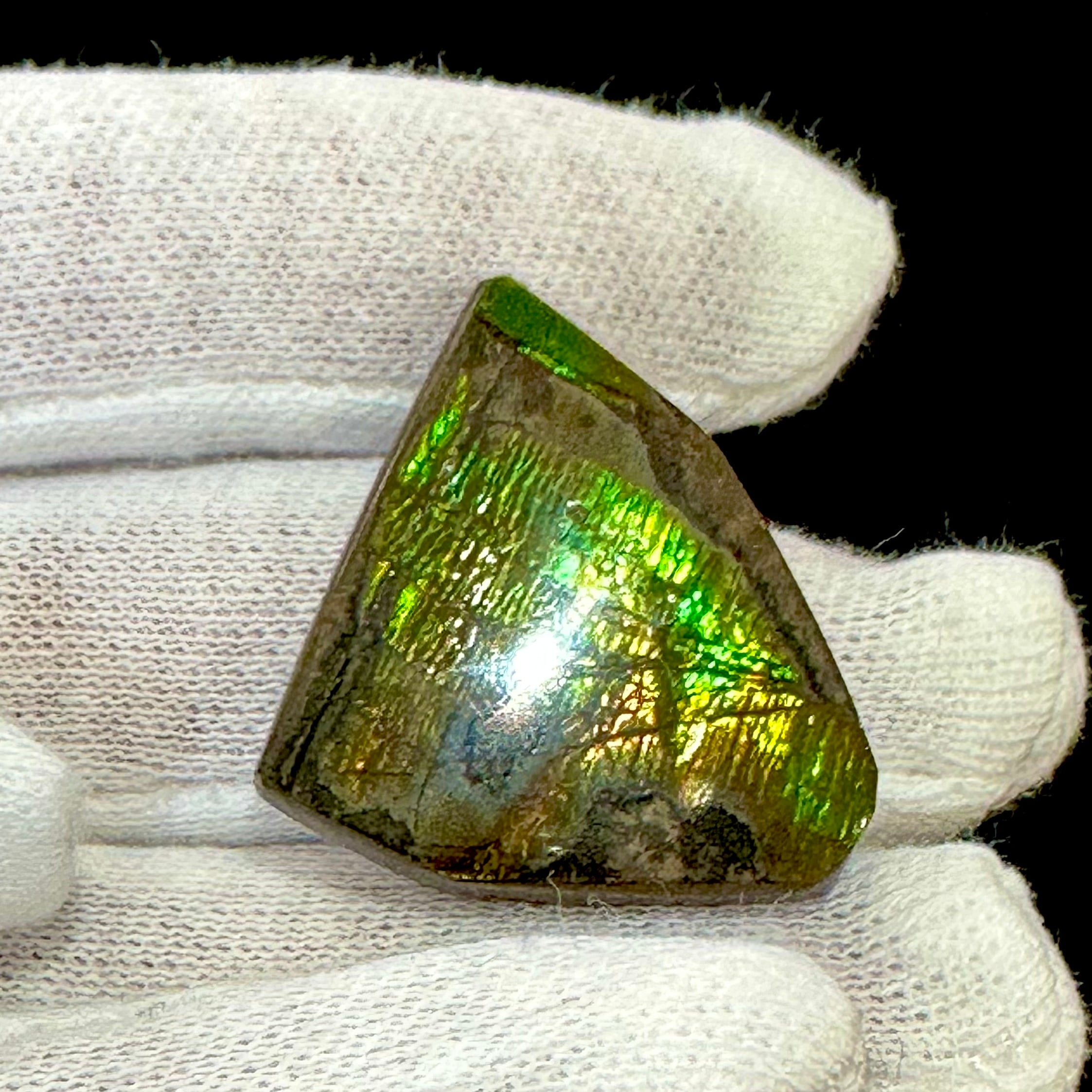 宝石ルース アンモライト 化石 Ammolite /約9.8g/1個 カナダ産