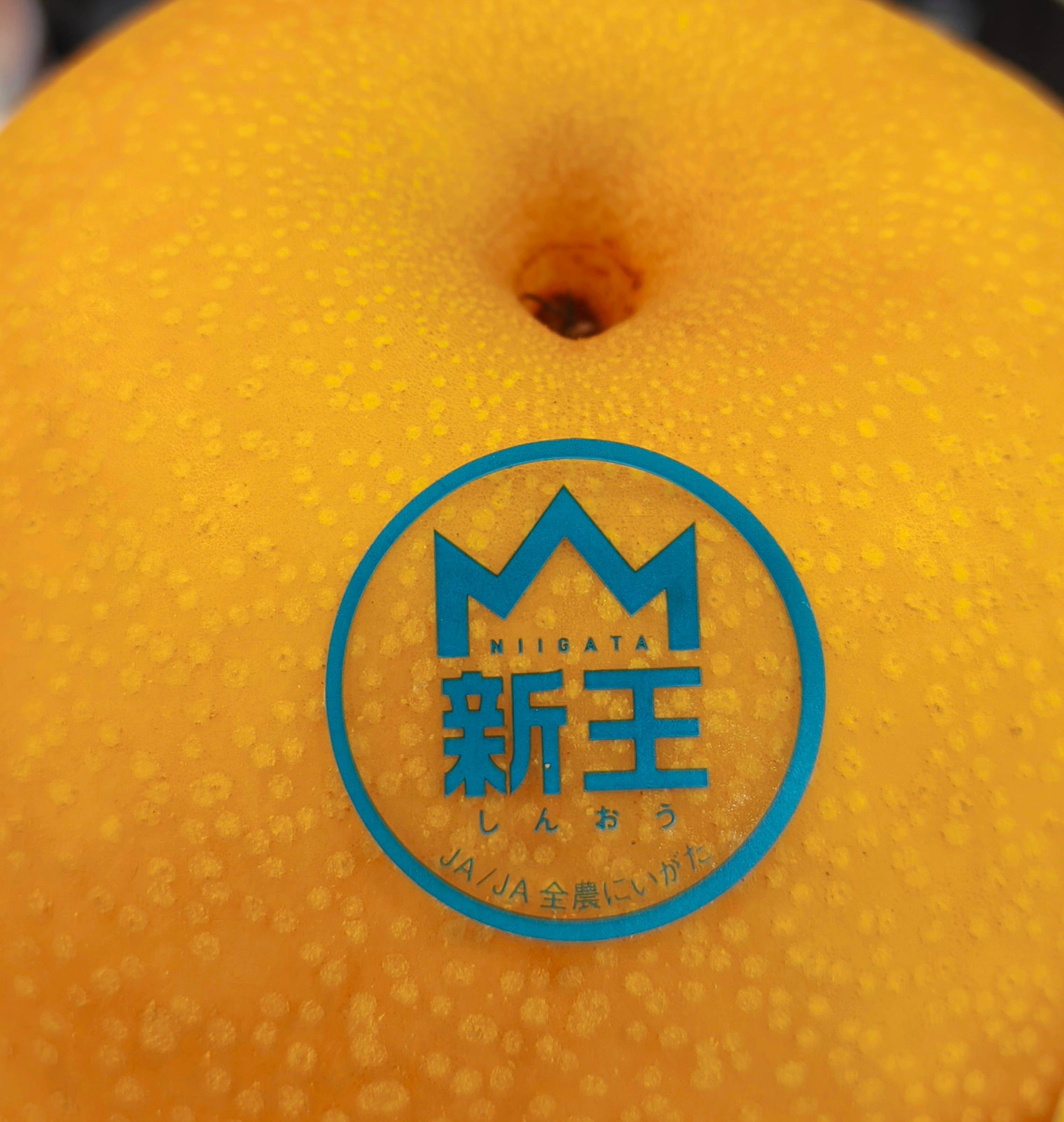 フルーツ王が厳選 岐阜 柳ケ瀬 大熊果実店