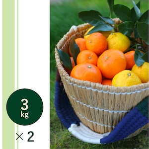 旬のおまかせ,３月の箱3kg×2