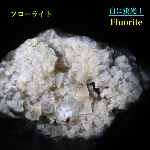 ユニーク！蛍石 フローライト 19g 原石 FL6012鉱物　天然石