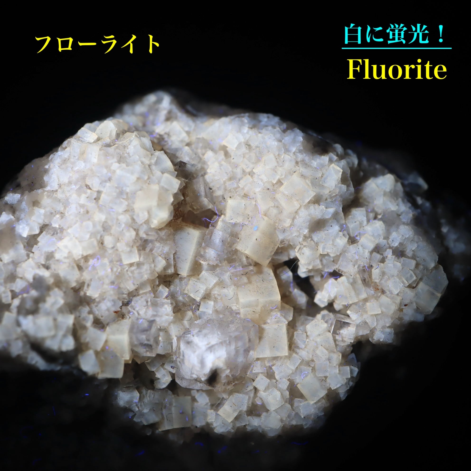 ユニーク!蛍石 フローライト 19g 原石 FL6012鉱物 天然石